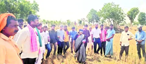 అగ్రస