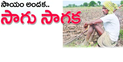 రైతు 
