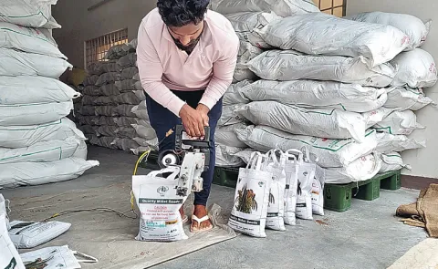 Sagubadi How to sow small grains for better results