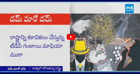 TDP Leaders Ganja Smuggling In Andhra Pradesh 1