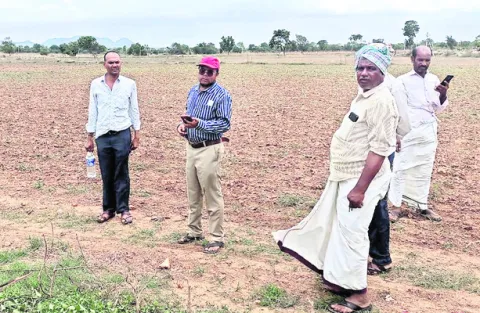 సర్వే