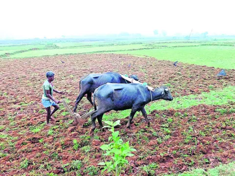గిరిజ