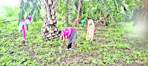 ప్రకృ