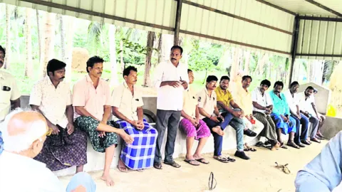మిట్ట