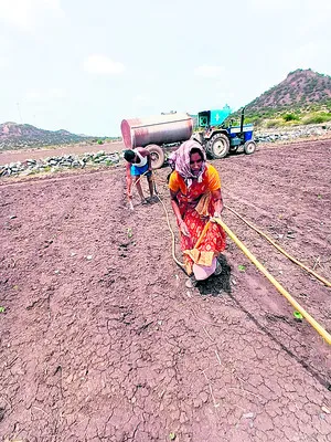 పట్టు వదలని ‘విత్తు’ మార్కుడు