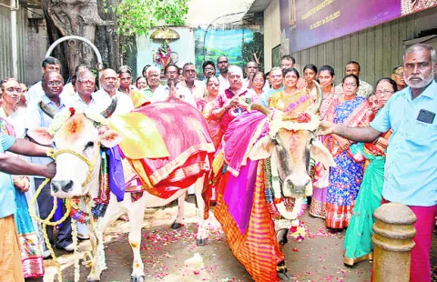 వైభవంగా గోమాతకు సీమంతం 