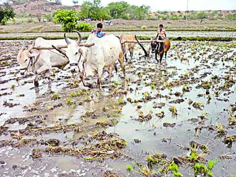 సాగుకు సాయం.. రైతు మురిపెం 