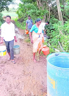 తాగున
