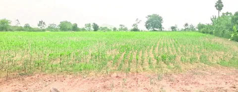 చినుక