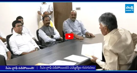 TDP MLAs Mass Counter To CM Chandrababu 2