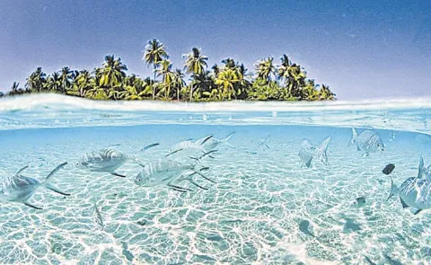 Tuvalu: More Than Third Of Country Population Has Applied To Relocate