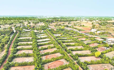 How the Japanese Miyawaki Method is Greening India's ...