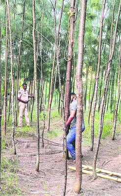 గుర్తు తెలియని మృతదేహం లభ్యం 