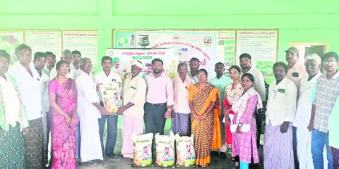 నాణ్యమైన విత్తనాలతో అత్యధిక దిగుబడులు 