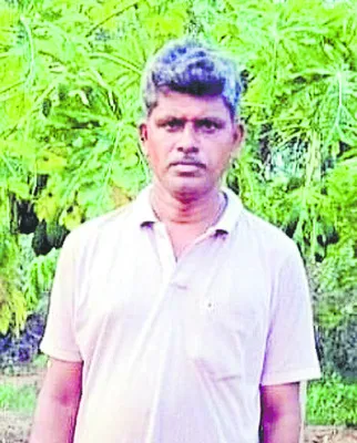 మిర్చి క్లస్టరు హామీ ఏమైంది  
