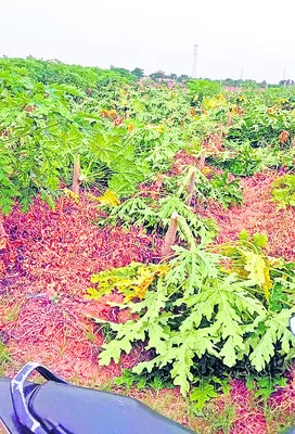 ఏడాదం
