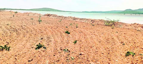 గుర్త
