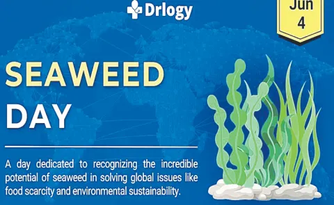Today is National Seaweed Day