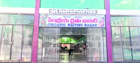 సేంద్