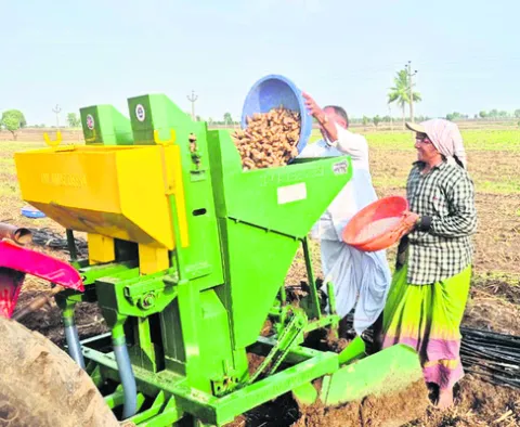 పసుపు సాగులో కొత్త పుంతలు 