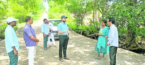 సీజనల్‌ వ్యాధులతో అప్రమత్తంగా ఉండాలి