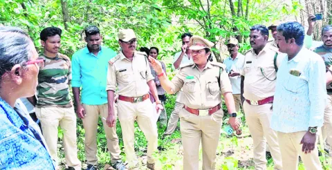 కార్ప