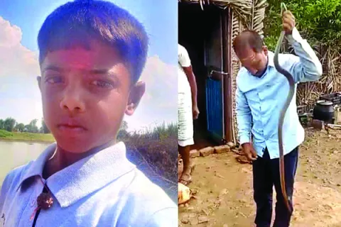 పామకా