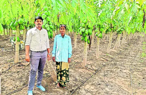 ఉద్యా