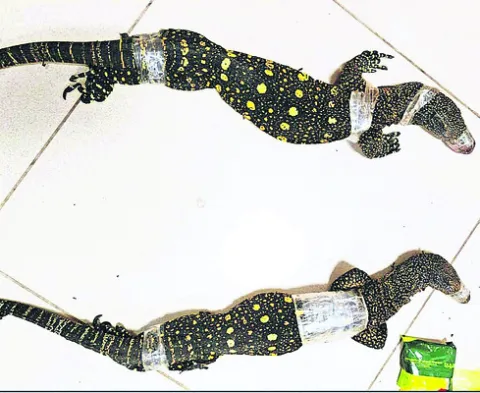 8న మదురైకు అమిత్‌షా 
