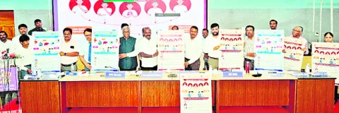 వారు మాస్కులు ధరించాలి 