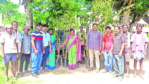 మొక్కల పెంపకంతోనే పర్యావరణ పరిరక్షణ 