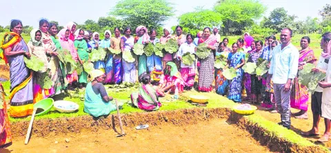 ఊరూరా.. ఉద్యమంలా 
