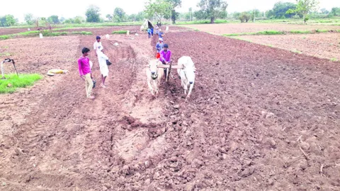 ● భూస