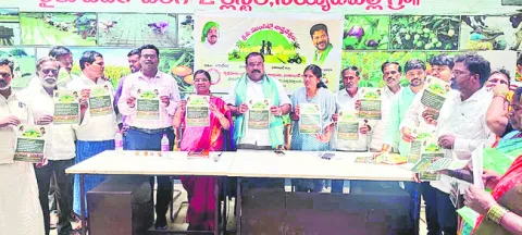 అధిక యూరియాతో అనర్థం 