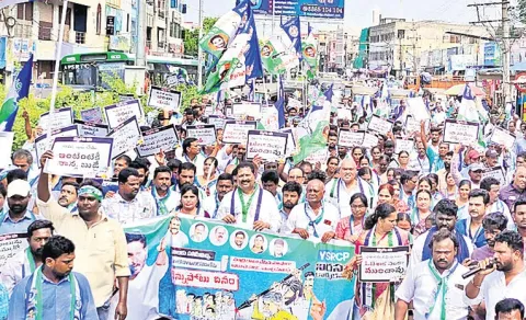 Public Protest Against Chandrabu One Year Rule