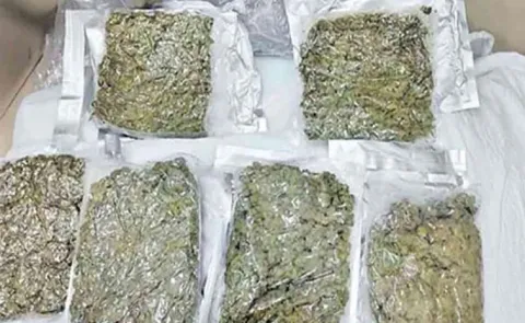 Shadnagar: Excise Constable Arrested In Marijuana Case