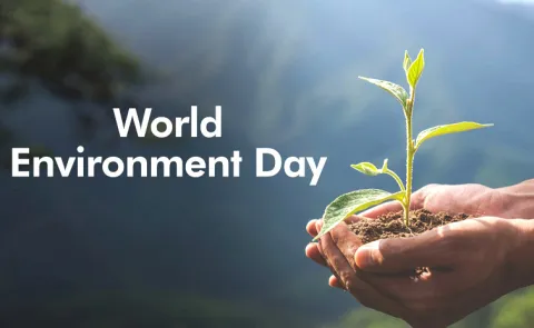 World Environment Day: These women fighting environmental problems15
