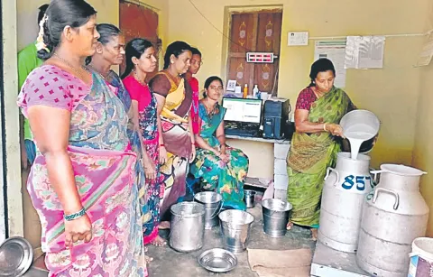 Dairies are cheating dairy farmers