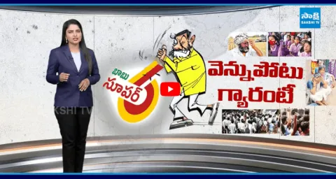 Magazine Story On Chandrababu Super Six Schemes 2