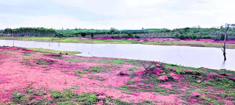 ‘దబ్బ