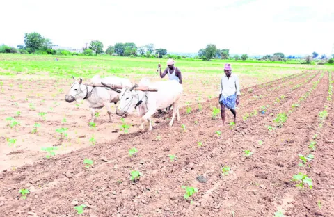 కొందర