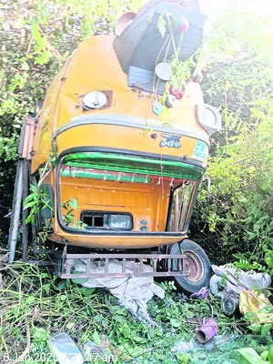 పొట్ట