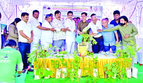 వృక్ష సంపదను పరిరక్షించాలి 