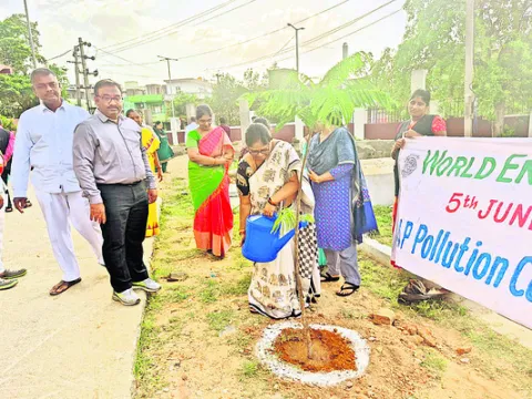 కాయలొ