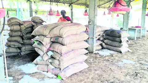 పేదల బియ్యం పక్కదారి