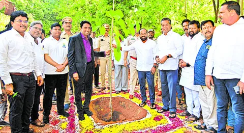 హరితా