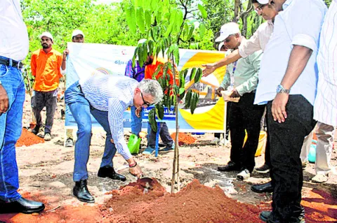 పర్యావరణానికి హాని కలిగించే ప్లాస్టిక్‌ వాడకాన్ని నివార