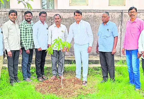 పర్యా