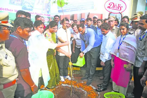 నాటిన