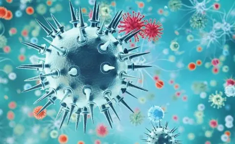 Next Pandemic Soon bat Viruses in China Show Covid Like Threat12